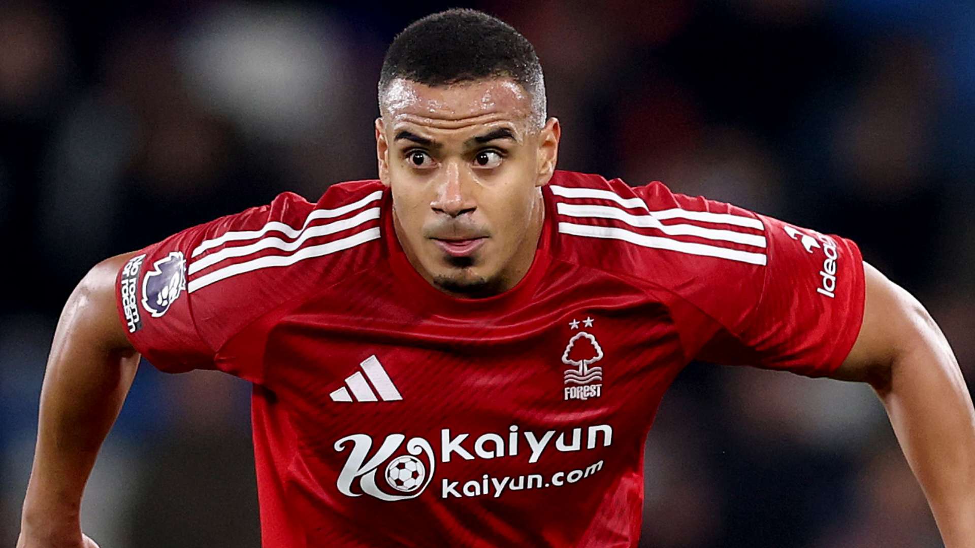 在這片綠茵 在這片綠茵