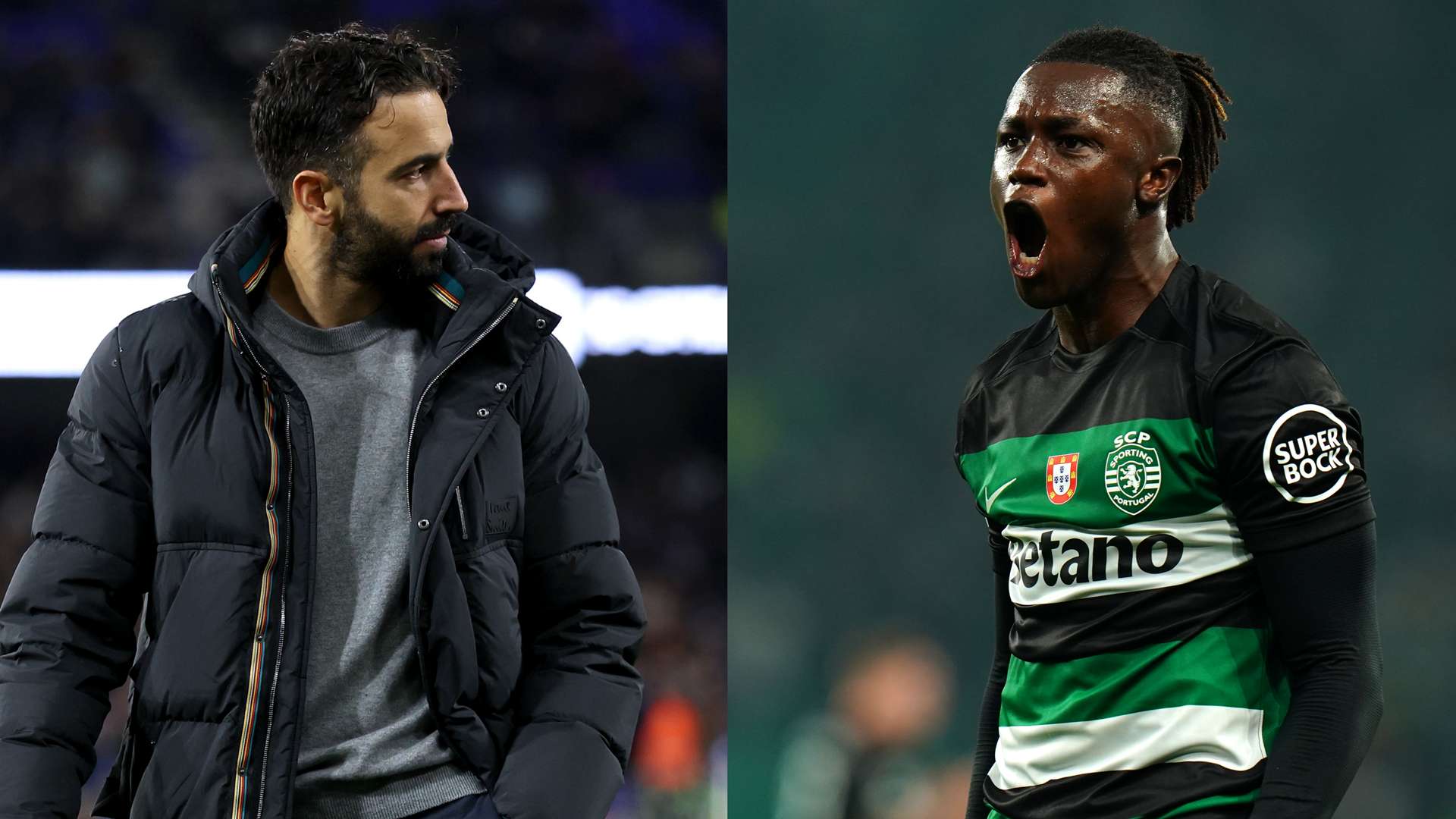 球迷们也在 球迷们也在